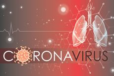 Paru-Paru Jadi Organ Paling Terdampak Virus Corona