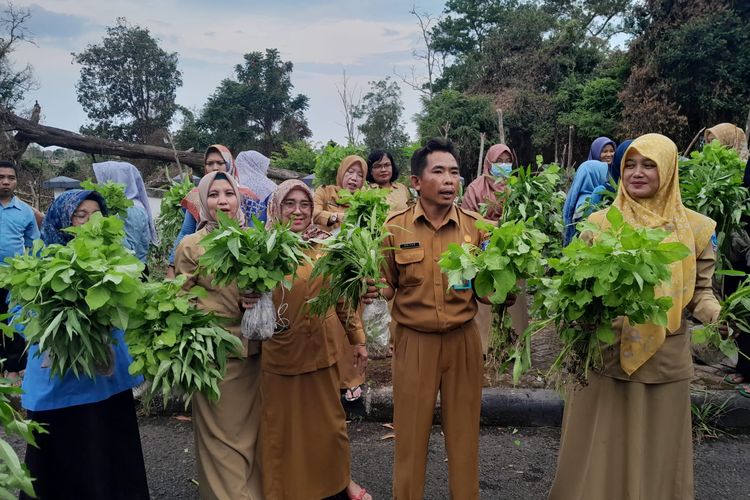 Pegawai di lingkungan kantor gubernur Bangka Belitung panen aneka sayuran organik, Selasa (6/6/2023).