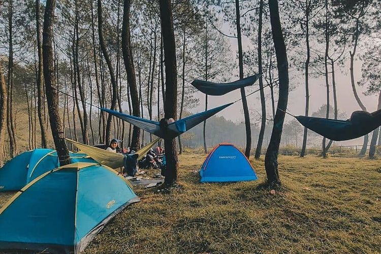 Datar Pinus Camp, salah satu tempat wisata Pangalengan yang hits.