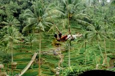 Rekomendasi 6 Tempat Agrowisata di Bali