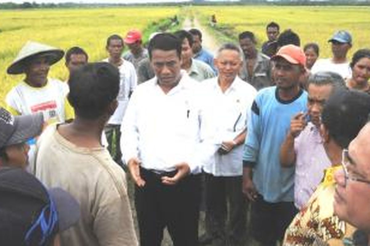 Menteri Pertanian Andi Amran Sulaiman mengatakan, dari hasil kunjungannya ke berbagai daerah ditemukan harga gabah senilai Rp 3.000 hingga Rp 3.400 per kilogram, sementara harga beras dari petani Rp 6.000 hingga Rp 7.200 per kilogram.