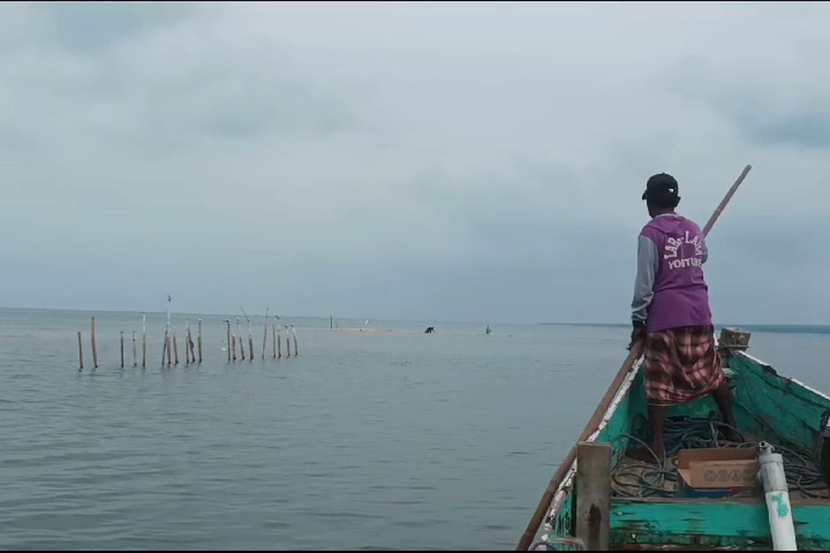 Sisa pancang bambu yang sempat ditancapkan pemilik SHM sebelum ditolak oleh warga