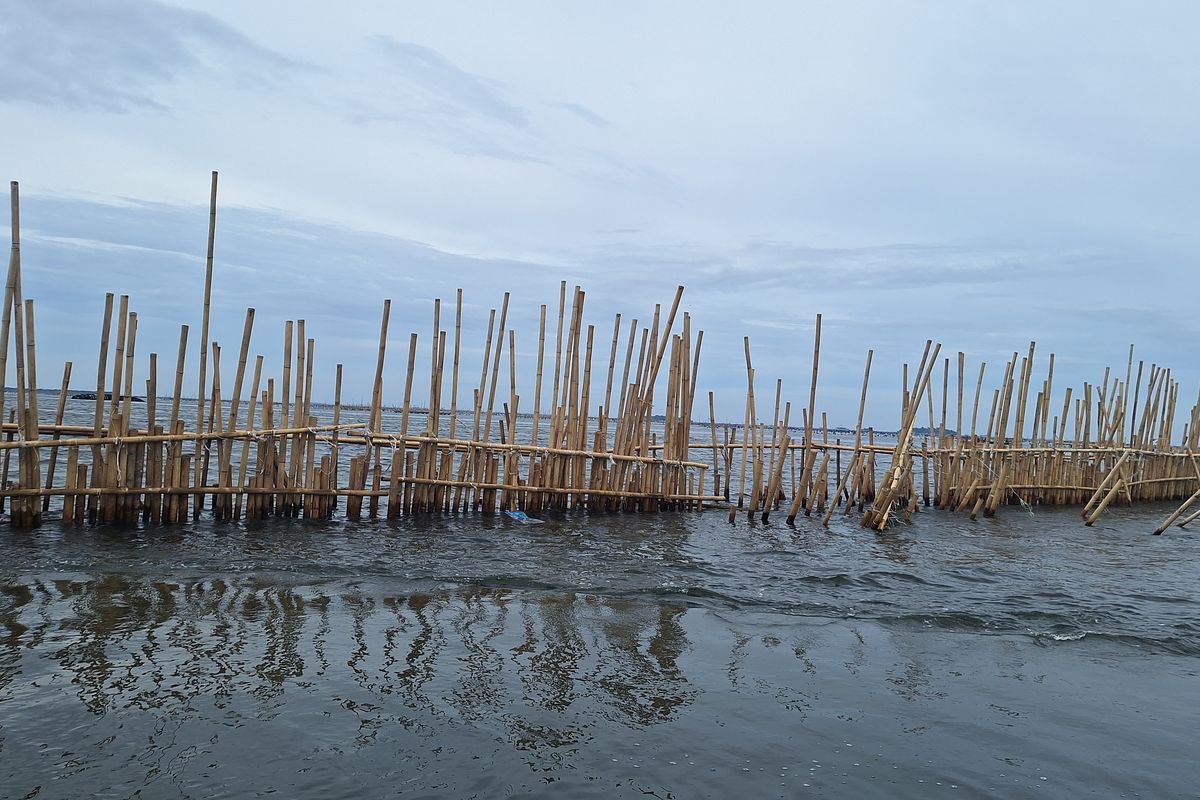 Pagar Laut di Pulau C Jakut Sudah Ada sejak 3 Bulan Lalu