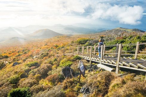 Sekitar 140.000 Turis Berkunjung ke Jeju di Tengah Pandemi Corona