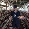 BERITA FOTO: Harga Telur Ayam Tembus Rp 31.000, Apa Penyebabnya?