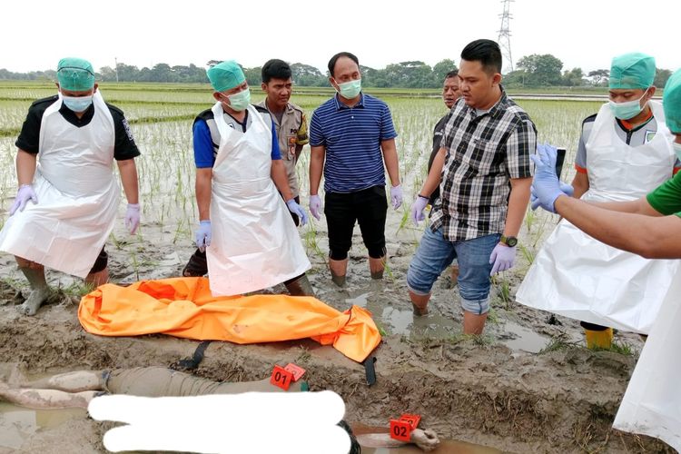 Polisi bersama tim identifikasi melakukan evakuasi dan olah tempat kejadian penemuan mayat di tengah sawah di Walantaka, Kota Serang Banten