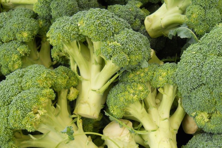 Salah satu sayuran penurun asam urat yang patut dicoba adalah brokoli.