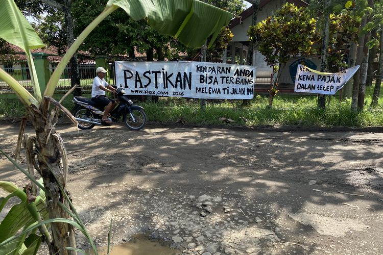 Warga Gadingan Indramayu Tanam Pohon Pisang di Jalan Rusak: Wisata 