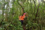 Kronologi Pendaki Lansia Hilang di Gunung Batukaru, Ditemukan Meninggal di Jurang 90 Meter