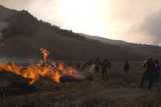 Butuh Satu Bulan untuk Pulihkan Sabana Gunung Bromo yang Terbakar