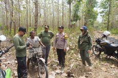 Cegah Kebakaran Hutan, TN Alas Purwo Perketat Pengawasan Pengunjung