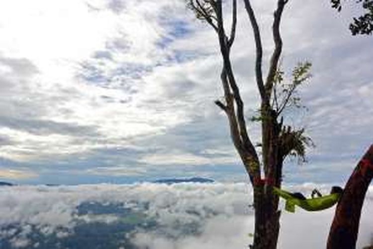 Seorang pengunjung bersantai di hammock yang digantung di pohon di Lolai, sebuah lokasi indah di ketinggian 1400 meter di Toraja Utara.