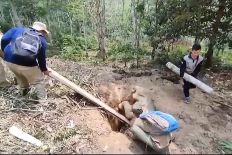 Tangkapan layar video evakuasi anak gajah yang terjebak dalam sumur di Desa Muara Kilis, Kecamatan Tengah Ilir, Kabupaten Tebo, Jambi, Jumat (14/10/2023)