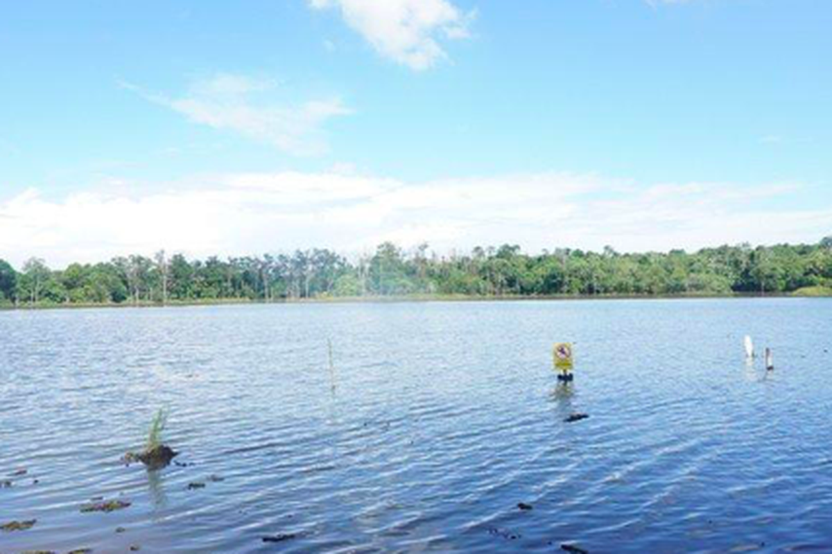 Ekowisata Bamboe Wanadesa