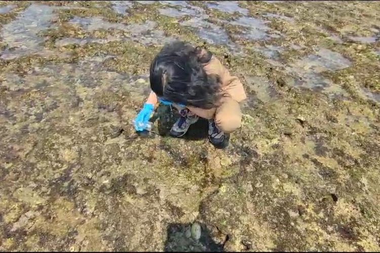Petugas DLH Gunungkidul mengambil sampel air laut di Pantai Krakal terkait pencemaran laut. Senin (9/10/2023)