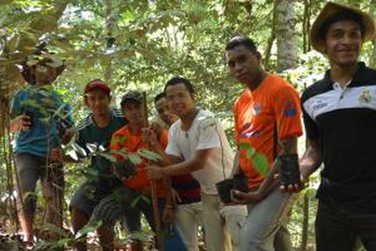 Para Frater Ledalero menanam pohon ara di Waelengga, Kabupaten Ngada, Nusa Tenggara Timur.
