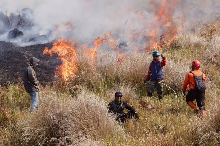Kebakaran Bromo, Savana Lembah Watangan Ditutup dan Jalur Masuk via Malang Ditutup