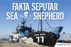 INFOGRAFIK: Mengenal Sea Shepherd, Organisasi yang Memburu Penjarah Hasil Laut