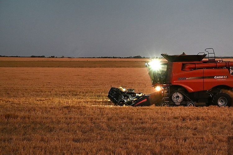 China menuduh Australia melanggar aturan WTO dengan mensubsidi produksi biji barley Australia dan menjual biji-bijian di China dengan harga di bawah biaya produksi.