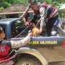 Polisi Kerahkan Anjing Pelacak K9 Buru Pelaku Pembunuhan di Pacitan, Sang Anak Selamat