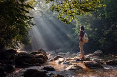 Terapi Hutan, Bagaimana dan Apa Manfaatnya untuk Kesehatan