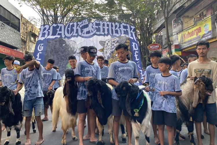 Melihat Tradisi Arak-arakan Hewan Kurban di Malang