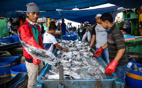 Indonesia’s Export Portfolio Expands to Include Tuna Shipments to South Korea