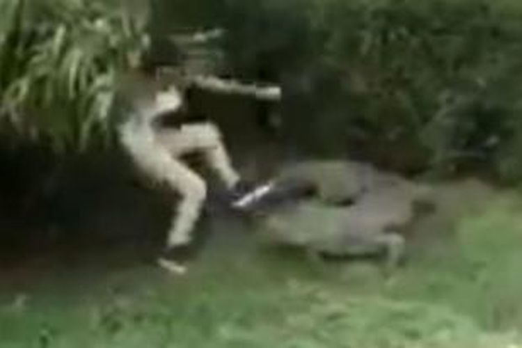 Dalam foto yang diambil dari video yang diunggah ke situs YouTube ini terlihat seorang gadis tengah mengganggu seekor buaya di dalam kandangnya di kebun binatang La Pastora, Monterrey, Meksiko.