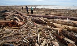 KLH Telusuri Sumber Gelondongan Kayu yang Terbawa Banjir Sumatera