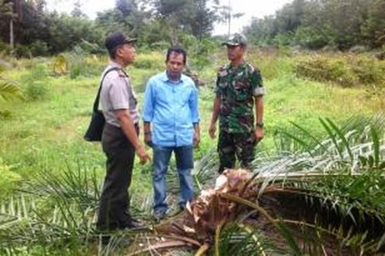 Kapolsek, Danposramil dan Camat Woyla Barat Melihat Lokasi Pengrusakan di Kebun sawit milik warga Desa Lung Baroh, Jumat (31/07/2015).