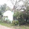 Hujan dan Angin Kencang di Nganjuk, Belasan Pohon Tumbang dan Sejumlah Rumah Warga Rusak