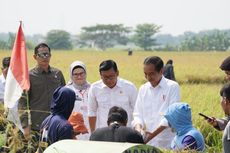 Setelah Subang, Plt Mentan Dampingi Presiden Jokowi Panen Raya di Indramayu