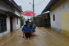 Ada Diskon Stimulus Ekonomi, Penumpang Kapal PELNI Melonjak Jelang Nataru