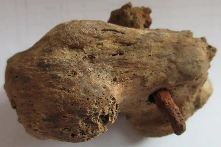 Arkeolog temukan kerangka pria dengan tulang tumit masih tertancap paku. Paku tertancap di tulang kaki seorang pria jadi bukti praktik penyaliban pertama di Inggris. 