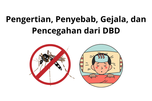 Pengertian, Penyebab, Gejala, dan Pencegahan dari DBD