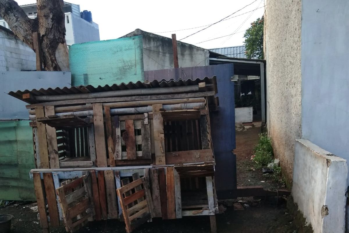 Akses keluar masuk rumah seorang lansia berinisial NA (60) ditutup Ketua RT menggunakan pagar bambu dan kandang ayam di Kampung Pabuaran, Kelurahan Jati Murni Kecamatan Pondok Melati, Kota Bekasi.