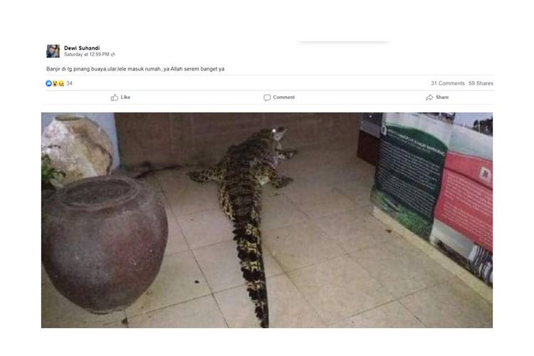 Salah satu akun yang mengunggah foto buaya disebut memasuki rumah saat banjir di Tanjung Pinang. Klaim ini tidak benar, karena foto itu merupakan foto kejadian tahun 2017 di Belitung.