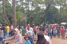 Hari Ke-2 Lebaran, Taman Margasatwa Ragunan Dipadati 27.000 Pengunjung