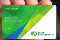 Ikan untuk Sushi, Apakah Salmon dan Trout Berbeda?