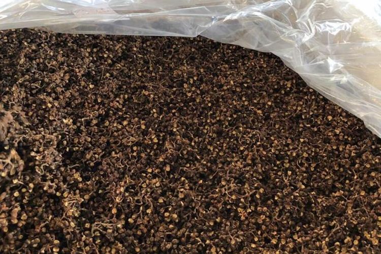 Sebanyak 574 kilogram andaliman (Zanthoxylum acanthopodium DC) ) milik CV SZT untuk pertama kalinya diekspor ke Jerman. Nilainya mencapai Rp 431 juta difasilitasi Kementerian Pertanian melalui Karantina Pertanian Belawan.