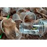 Murah tapi Sulit Didaur Ulang, Alasan Sampah Gelas Plastik AMDK Membludak