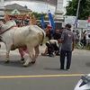 Jadi Korban Sapi Ngamuk Saat Kirab Budaya di Sleman, Ini Kondisi Anak Bupati Sleman