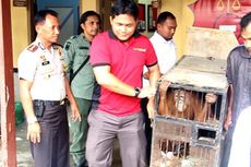 Warga Serahkan Sepasang Orangutan Peliharaan kepada Polres Nagan Raya