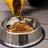 Cara Menyimpan Makanan Kucing Kering dan Menjaganya Tetap Segar
