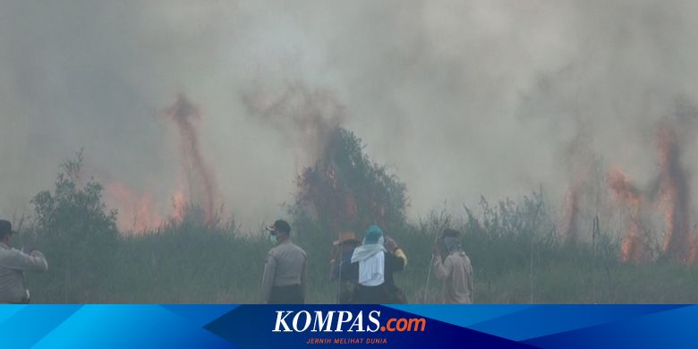 Cegah Api Menyebar Pemerintah Bikin Sekat Di Lokasi Kebakaran Gambut