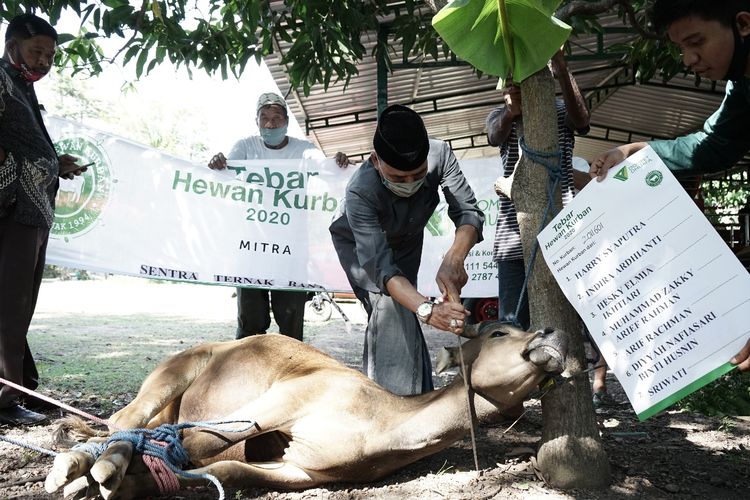 Gubernur Sulawesi Selatan mengapresiasi gelaran Tebar Hewan Kurban Dompet Dhuafa yang menhalirkan amanah donatur di wilayahnya.