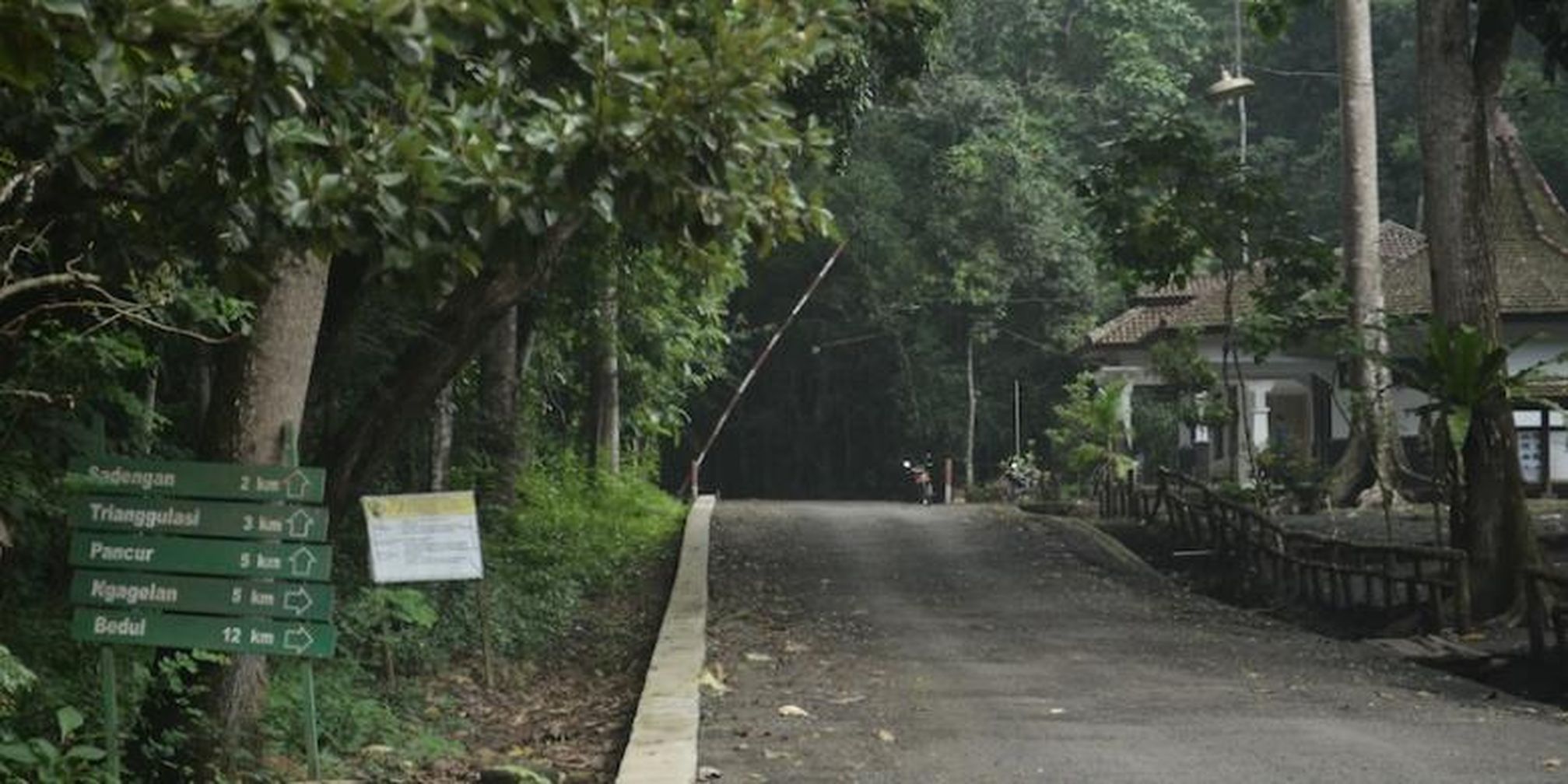 Sehari Bertualang Di Hutan Tertua Pulau Jawa