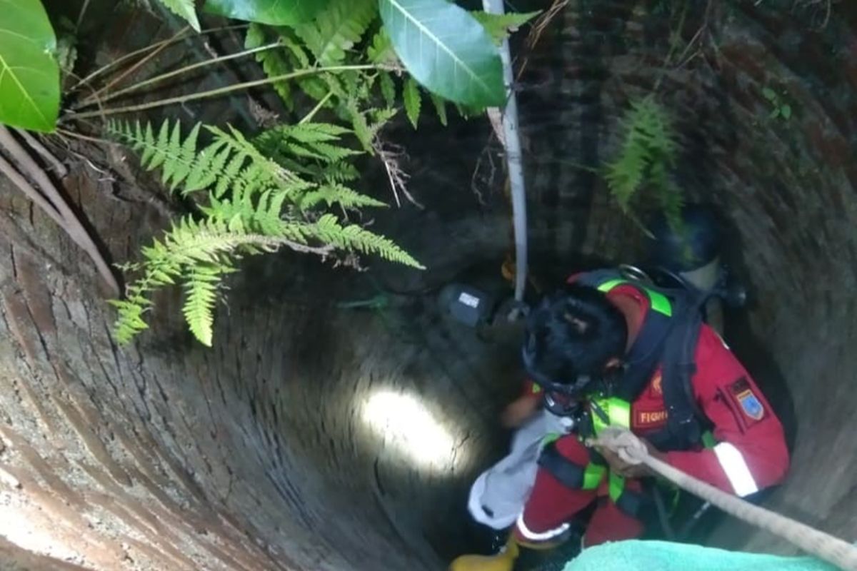 Petugas Damkar Kota Salatiga mengevakuasi seekor kucing yang masuk ke sumur sedalam 10 meter