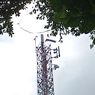 Telkomsel Sebut Tower Lokasi Pengibaran Bendera Bintang Kejora di Manokwari Bukan Miliknya