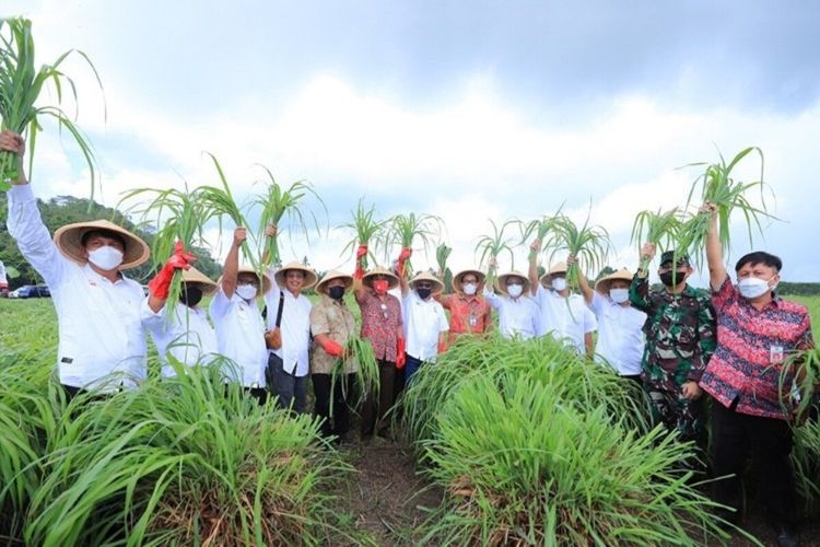 OJK resmikan KUR klaster pertanian serai wangi di Minahasa, Sulut.